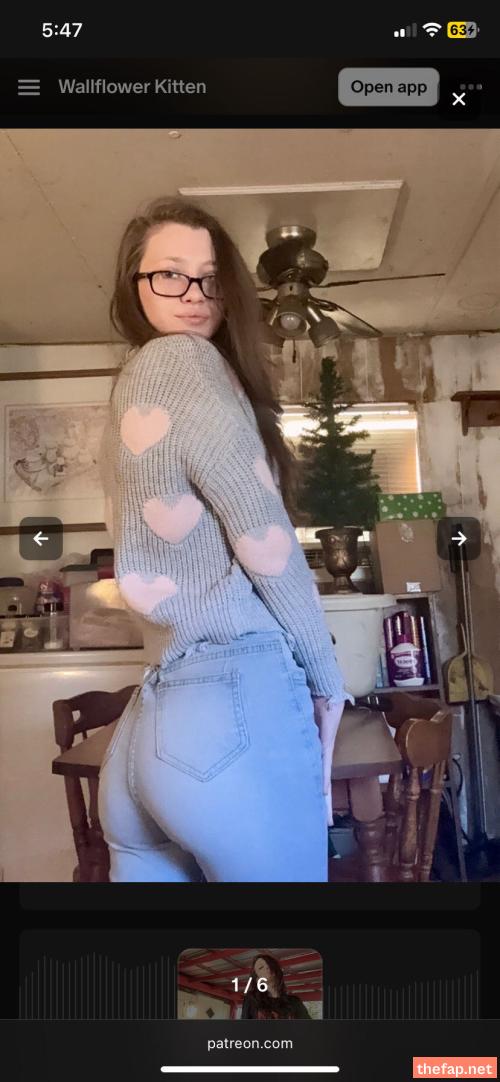 Wallflower.kitten